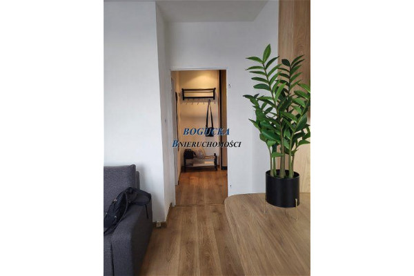 Warszawa, Żoliborz, Wojska Polskiego al., Żoliborz-Ładne-2 pok.pow 39m2-umeblowane- 2700 PLN